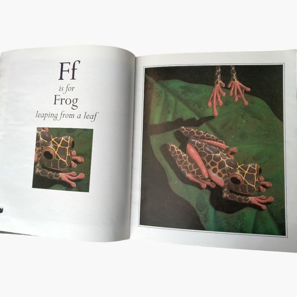 Amazon Alphabet  Book Martin Tanis Jordan Paperback Large Picture Book - Picture 3 of 9